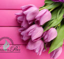 6f6727be7c3e5ec6f7742d040bed18b9 копия